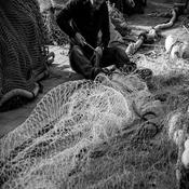 Podcast Tending Nets