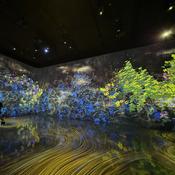 Podcast The Dramatic ups + downs