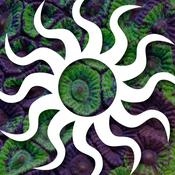 Podcast The Tidal Gardens Podcast