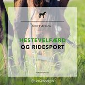 Podcast Uanvendelig eller Ridehest