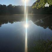 Podcast Vibrant Tingz