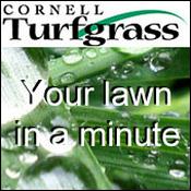 Podcast Your lawn in a minute