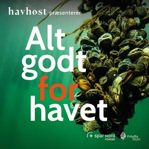 Lyt til Alt godt for havet i appen