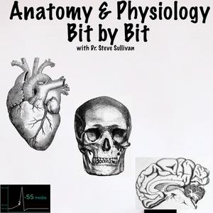 Lyt til Anatomy and Physiology - Bit by Bit i appen