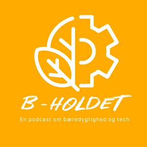 B-Holdet