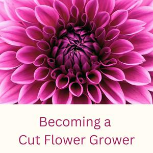 Lyt til Becoming a Cut Flower Grower i appen