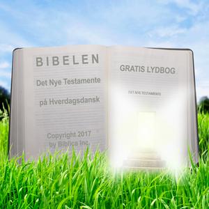 Lyt til Bibelen som lydbog (Regulær oplæsning) - Det Nye Testamente på Hverdagsdansk i appen
