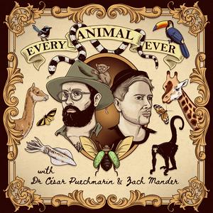 Lyt til Every Animal Ever i appen