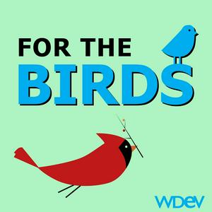 Lyt til For the Birds i appen