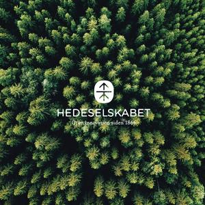 Hedeselskabet