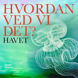 Hvordan ved vi det?