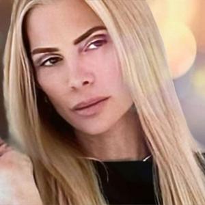 in the naad with taylor stein