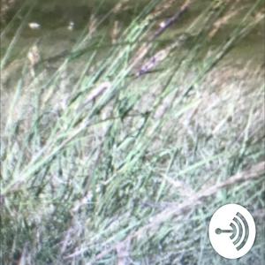 Temperate grasslands